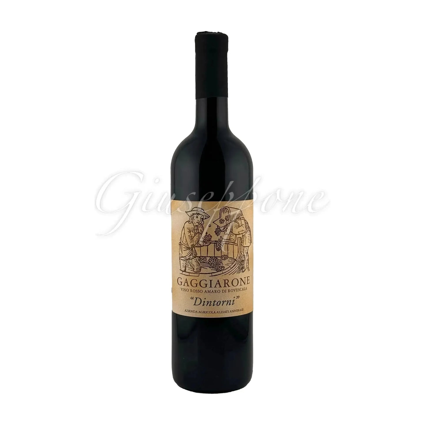 Bottle of Gaggiarone Dintorni 2020 red wine with beige label displaying vintage artwork, produced by Annibale Alziat.