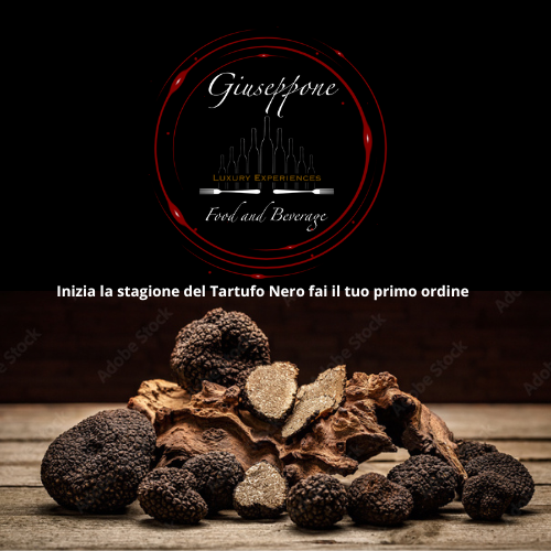Tartufi Neri Scorzone esposti su un tavolo di legno con il logo di Giuseppe Food and Beverage sullo sfondo.
